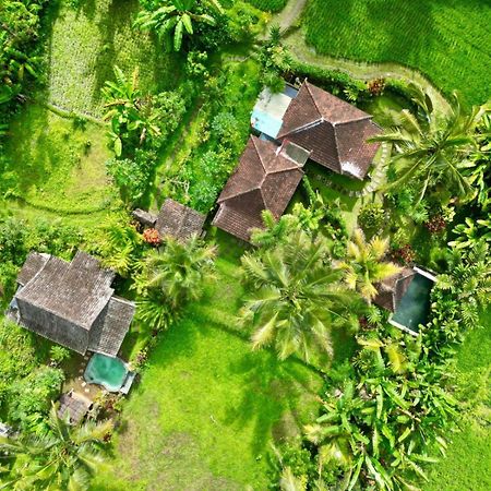 Dewa Jati Cottages Payangan Екстериор снимка