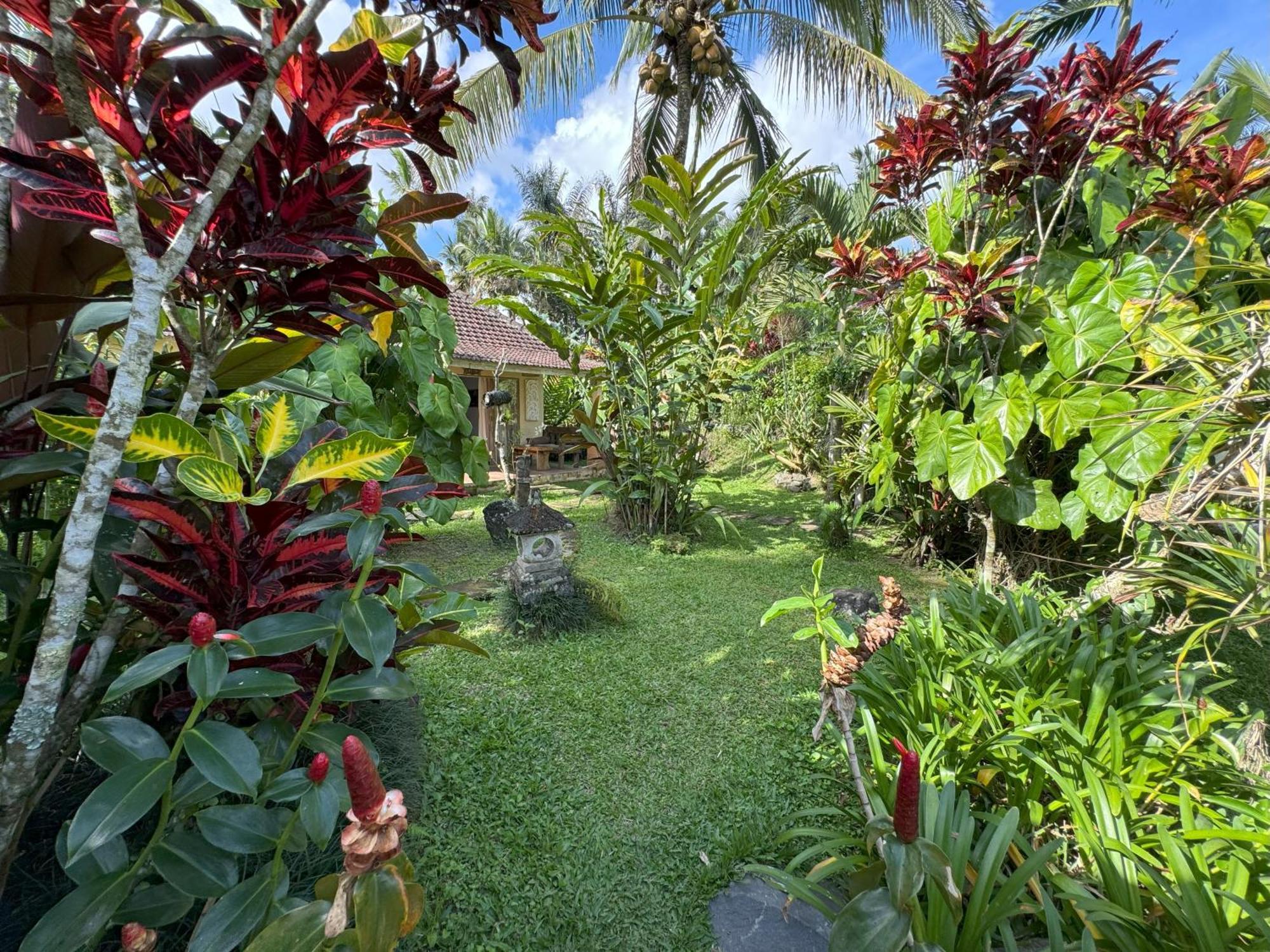 Dewa Jati Cottages Payangan Екстериор снимка