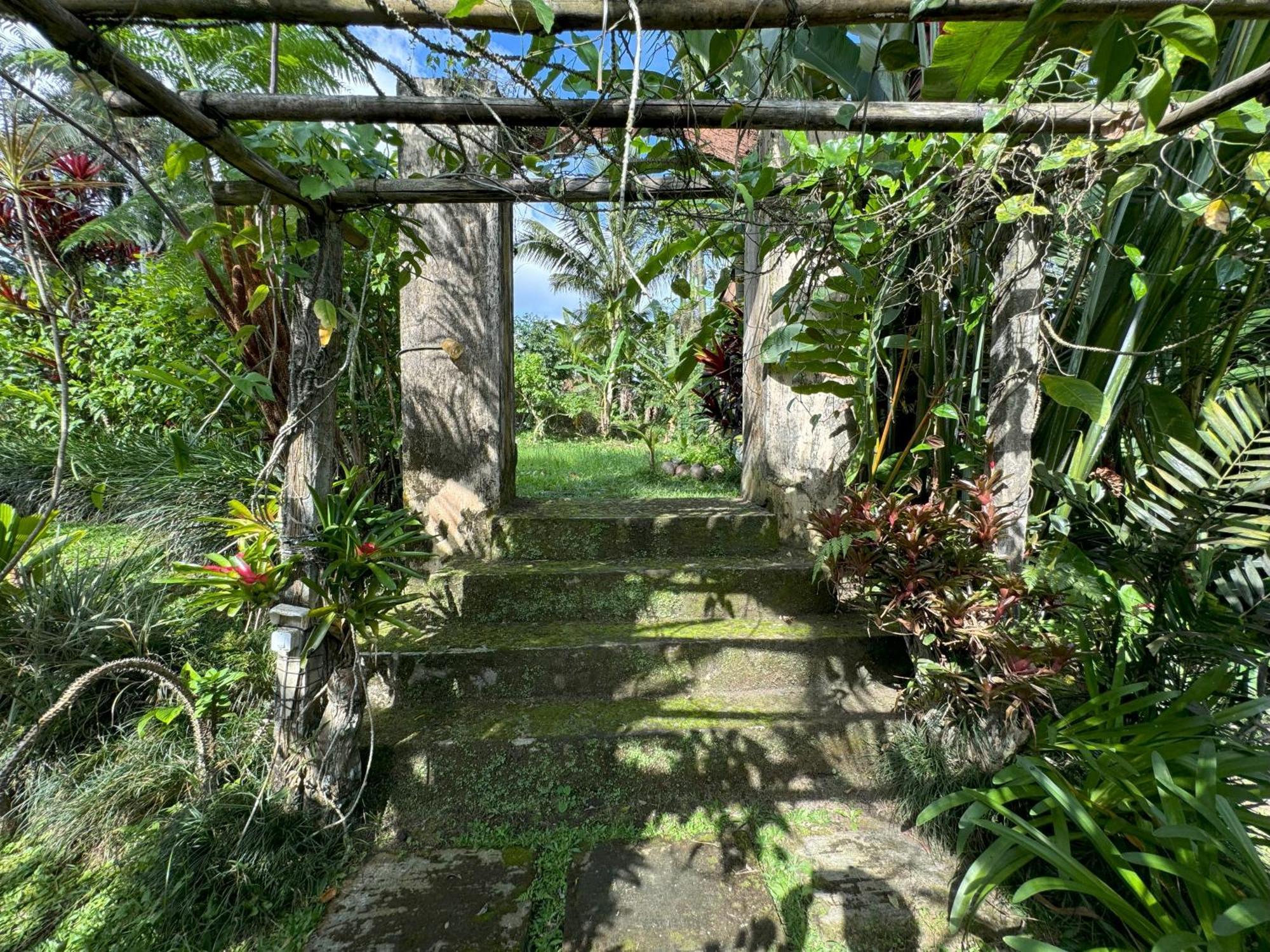 Dewa Jati Cottages Payangan Екстериор снимка