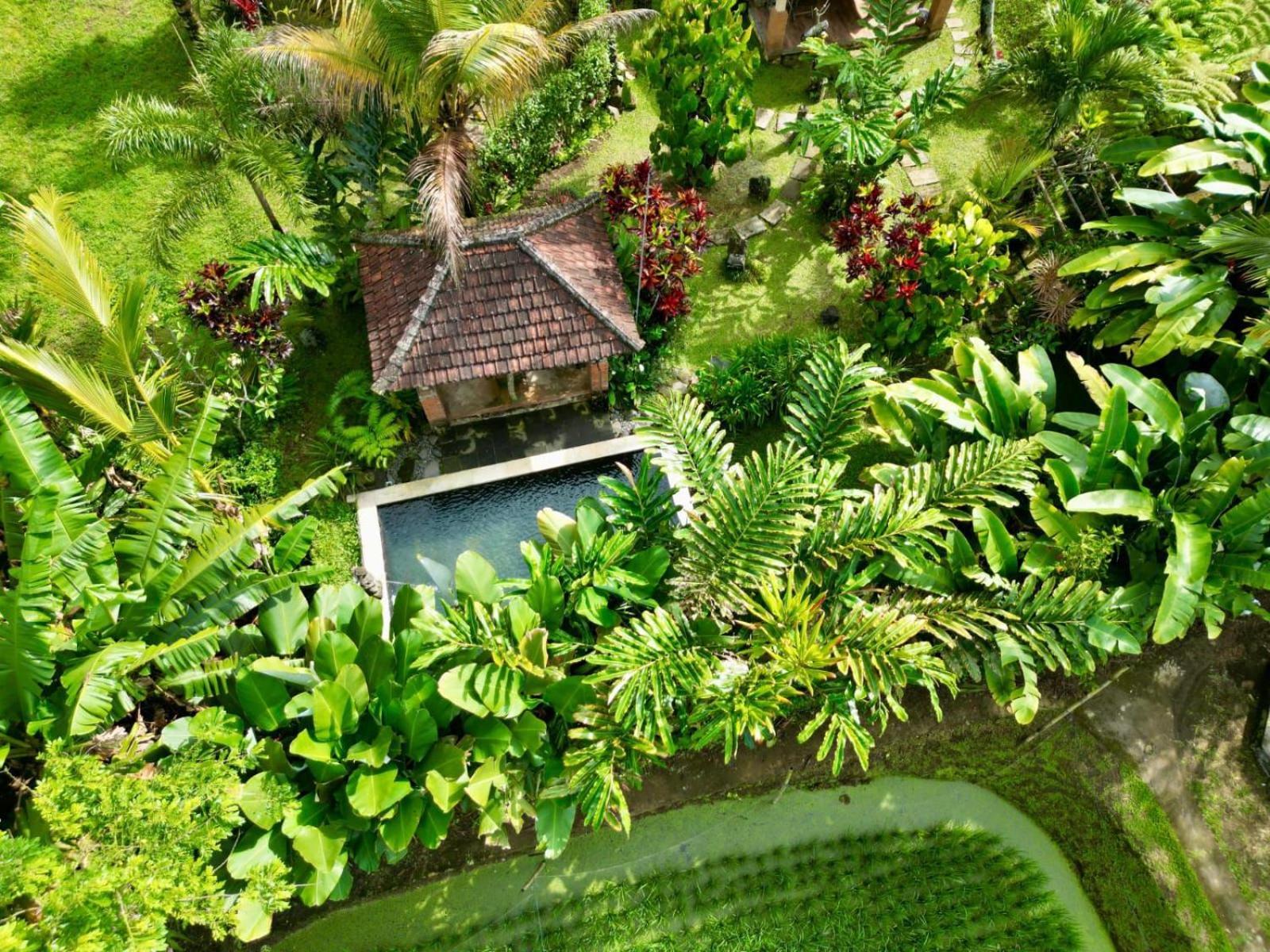 Dewa Jati Cottages Payangan Екстериор снимка
